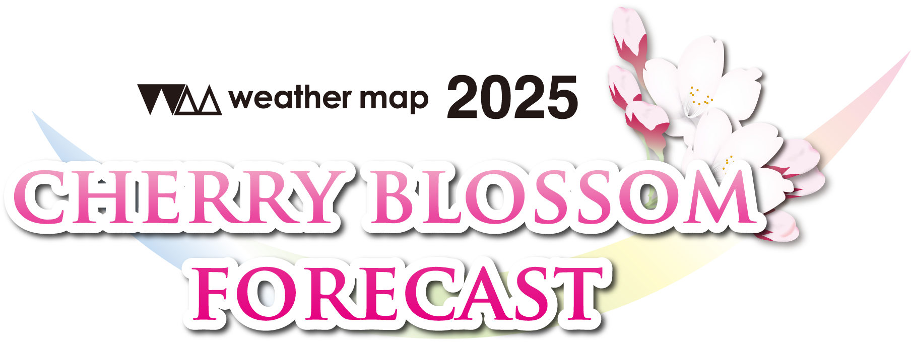 CHERRY BLOSSOM FORECAST
